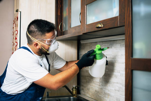 Best Insect Control  in Long View, NC