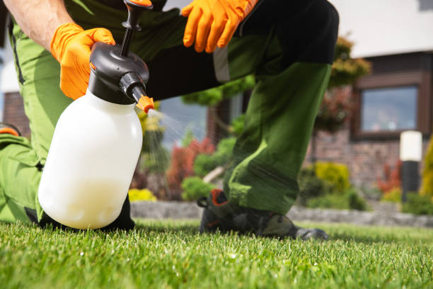 Best Bed Bug Extermination  in Long View, NC