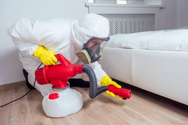 Best Mosquito Control Services  in Long View, NC