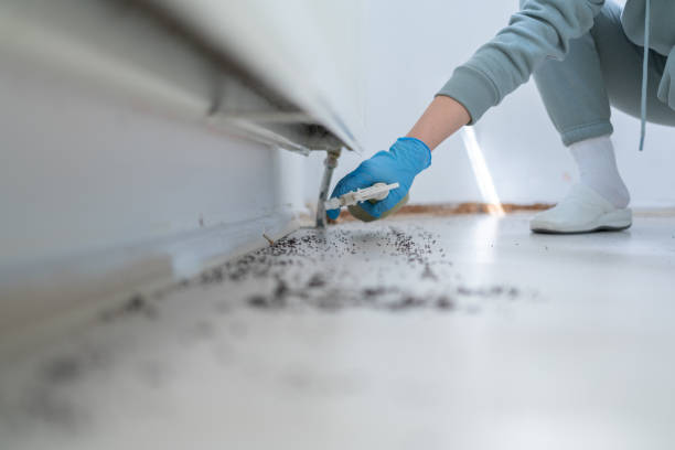 Long View, NC Pest Control Company