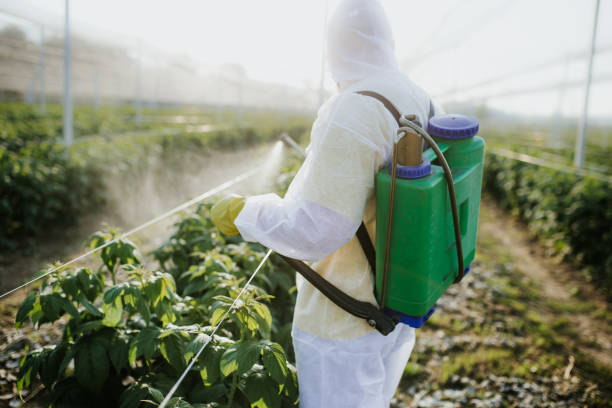 Best Commercial Pest Control Services  in Long View, NC